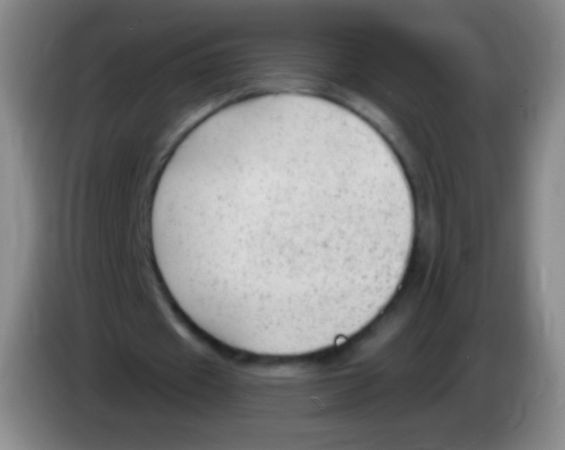 X0000083990433200703091848