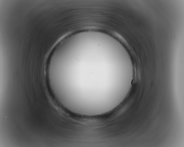 X0000083990435200703091848