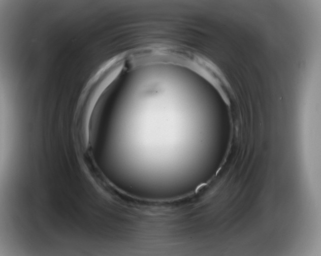 X0000083990436200703091848