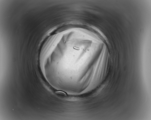 X0000083990437200703091848