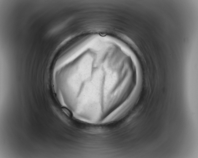 X0000083990439200703091848