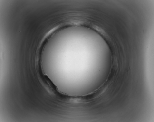 X0000083990440200703091848