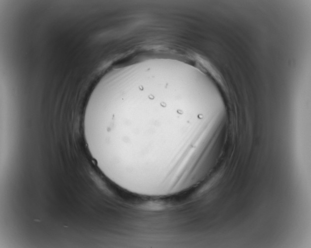 X0000083990441200703091848