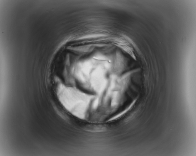 X0000083990443200703091848