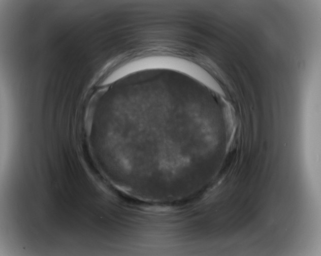 X0000083990444200703091848