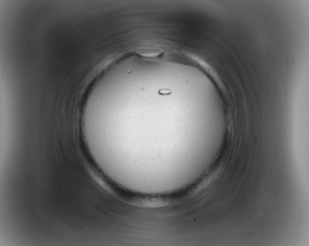 X0000083990445200703091848