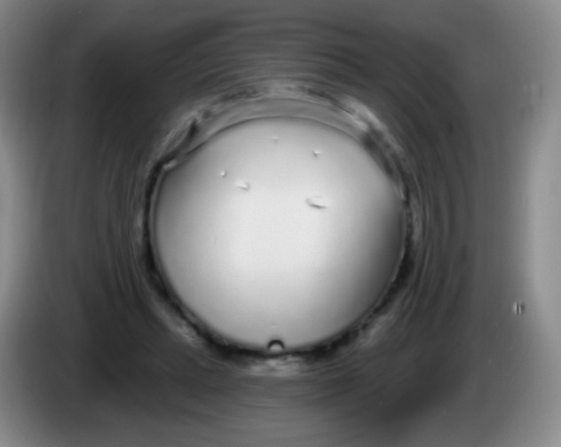 X0000083990447200703091848