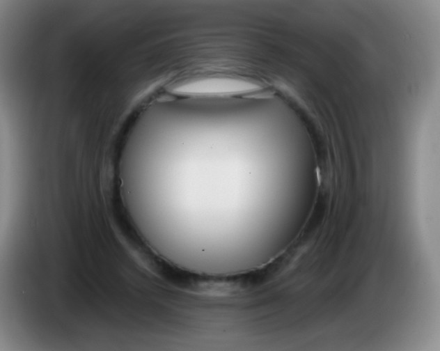 X0000083990448200703091848