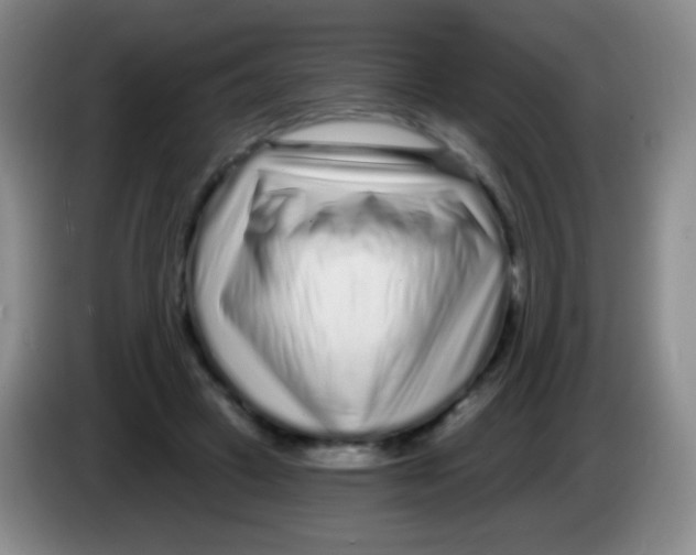 X0000083990449200703091849