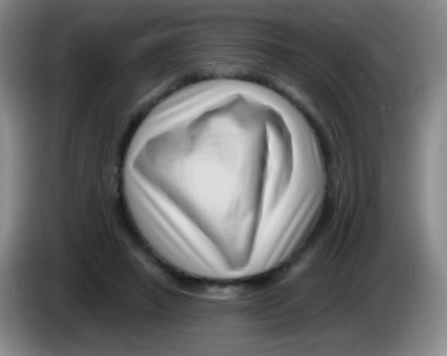 X0000083990450200703091849