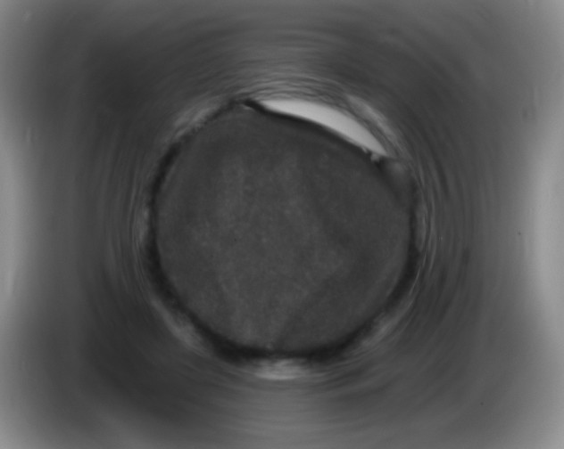 X0000083990451200703091849