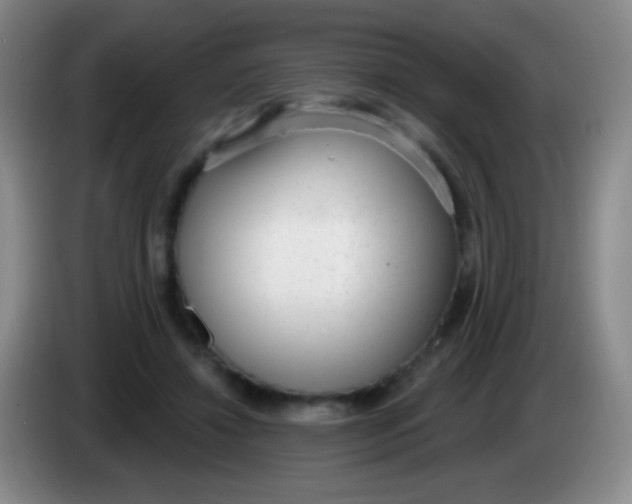 X0000083990452200703091849