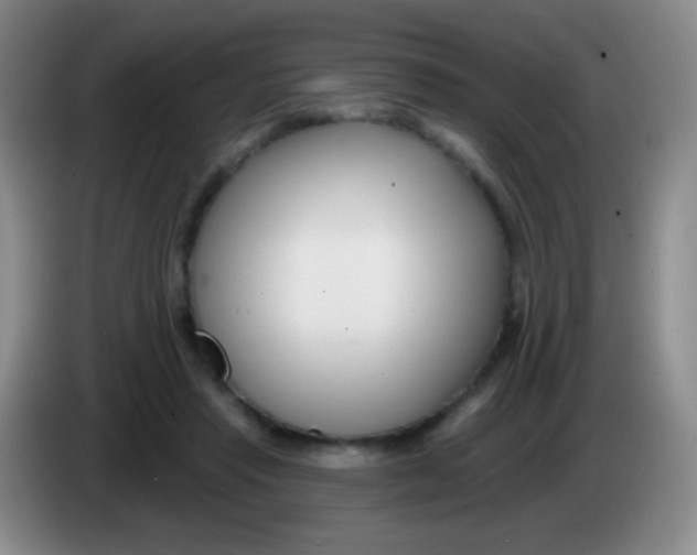 X0000083990453200703091849