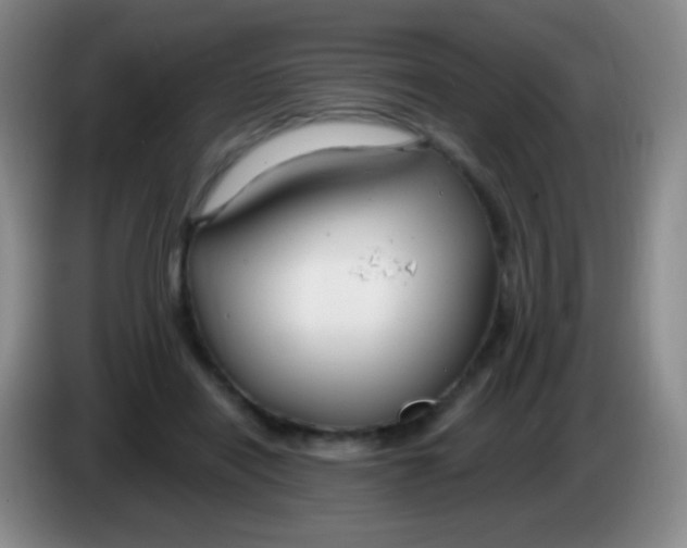 X0000083990454200703091849