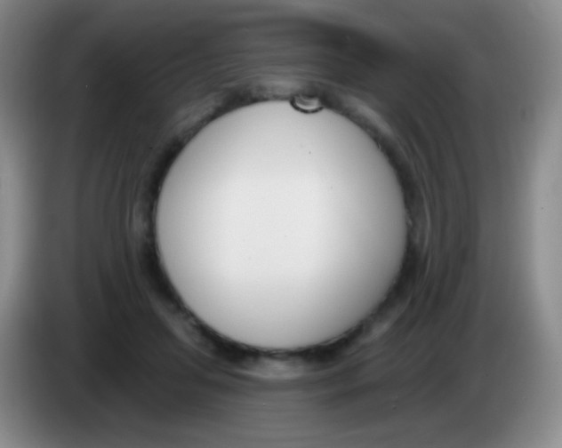 X0000083990455200703091849