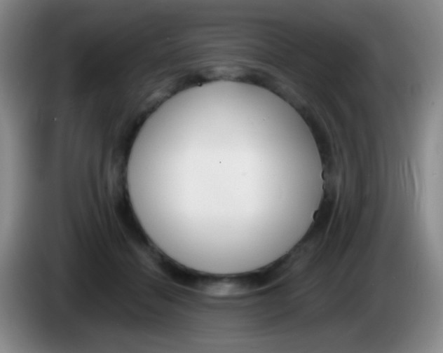 X0000083990460200703091849