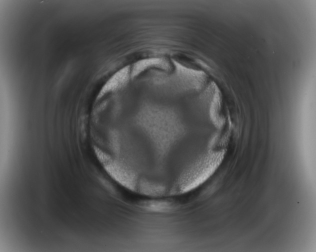 X0000083990462200703091849