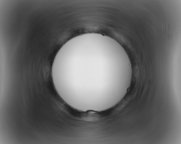 X0000083990463200703091849