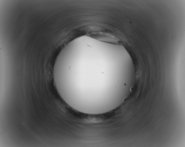 X0000083990464200703091849