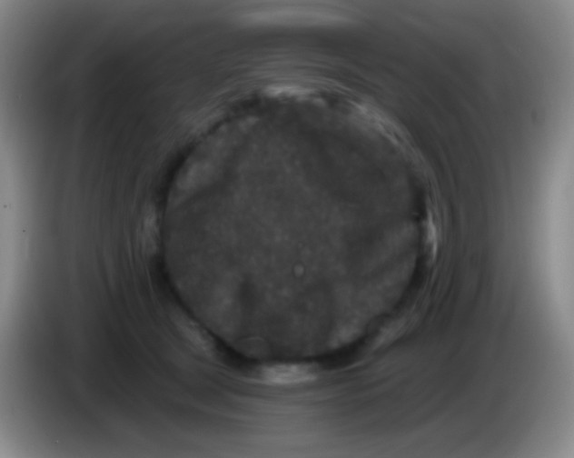 X0000083990465200703091849