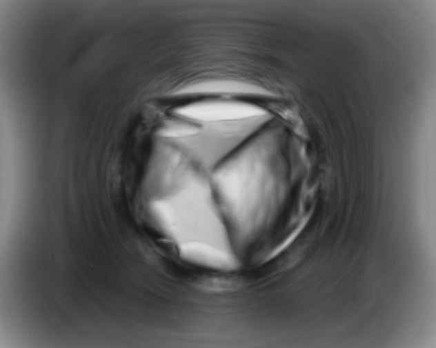 X0000083990466200703091849