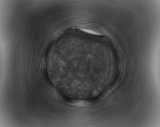 X0000083990467200703091849