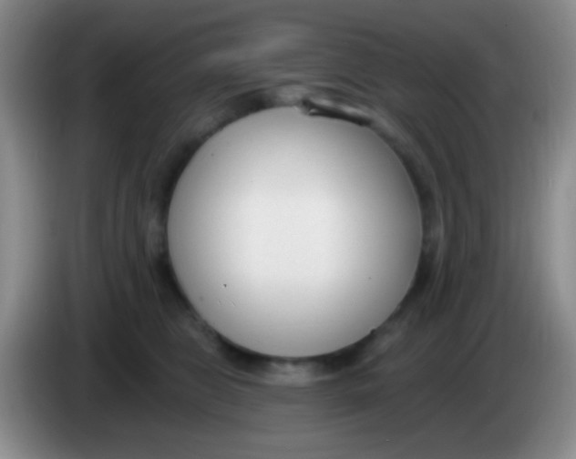 X0000083990469200703091849