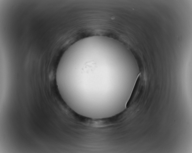 X0000083990472200703091849