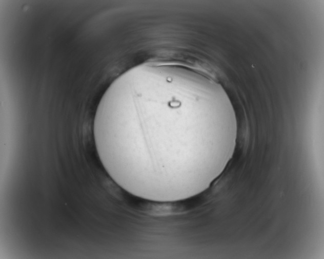 X0000083990473200703091849