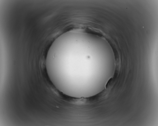 X0000083990474200703091849