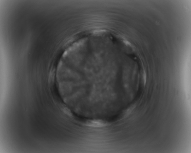 X0000083990475200703091849