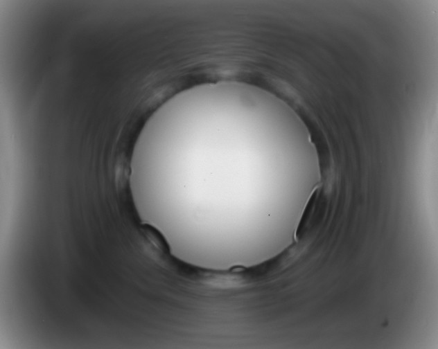 X0000083990476200703091849