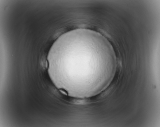 X0000083990479200703091849