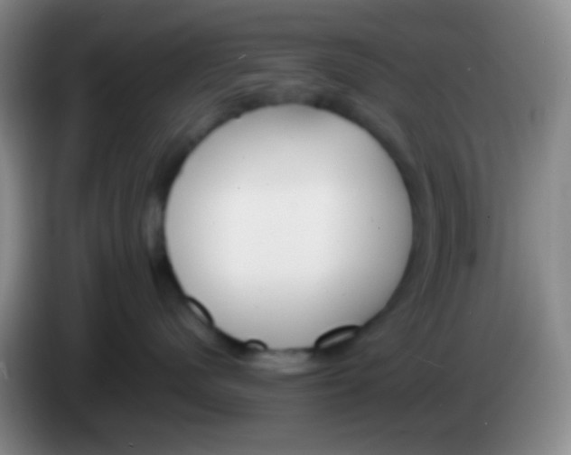 X0000083990480200703091849