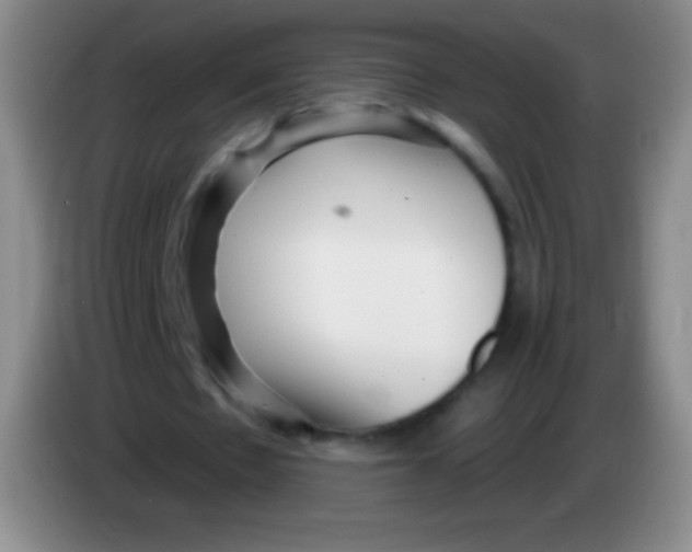 X0000083990481200703091848