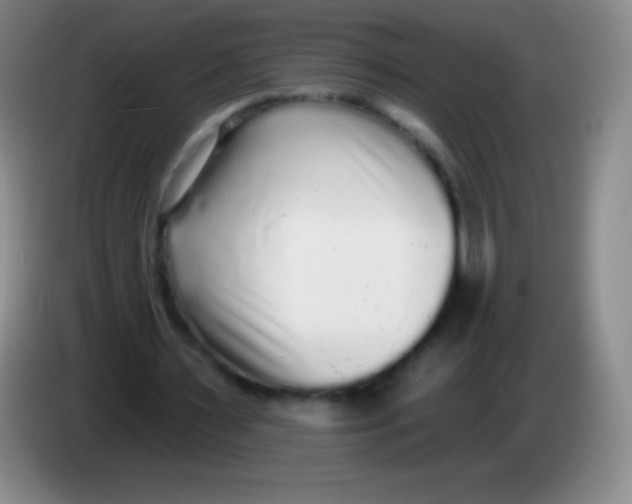 X0000083990483200703091848