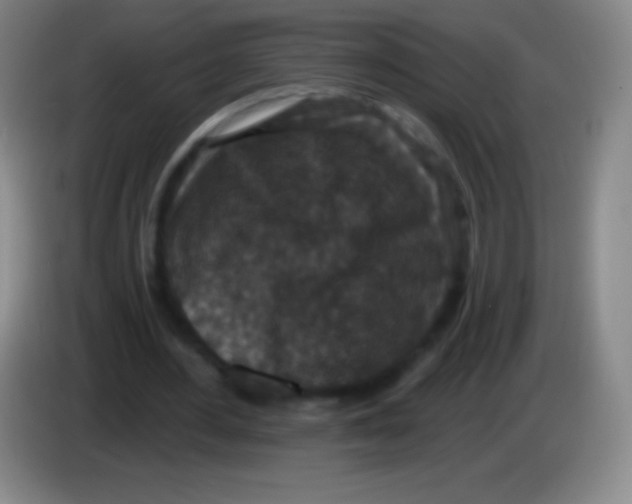 X0000083990484200703091848