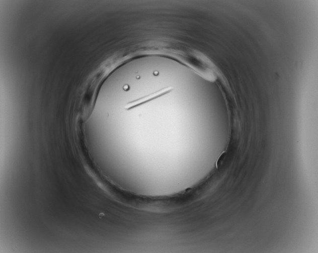 X0000083990485200703091848