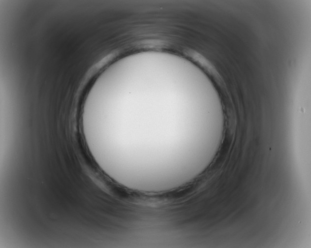 X0000083990486200703091848