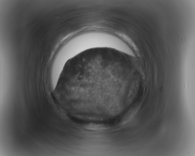 X0000083990487200703091848