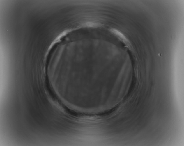 X0000083990488200703091848