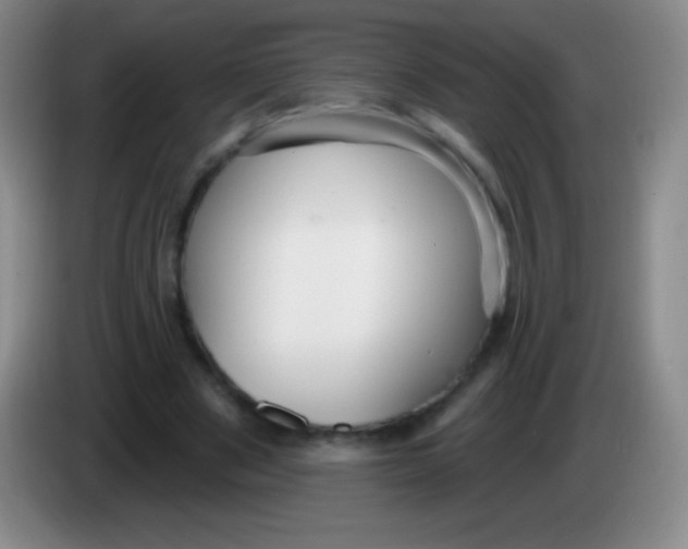 X0000083990489200703091848