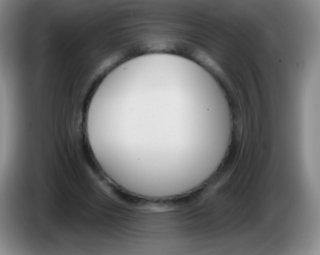 X0000083990490200703091848