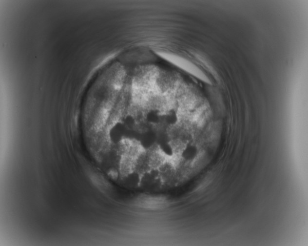 X0000083990491200703091848