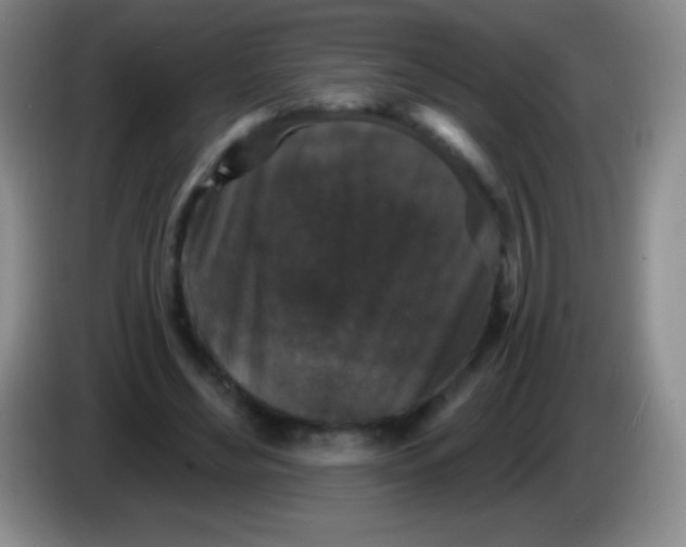 X0000083990492200703091848