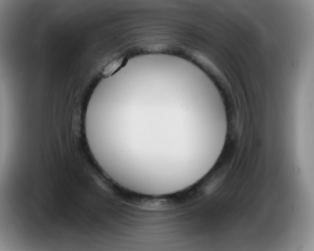 X0000083990497200703091848