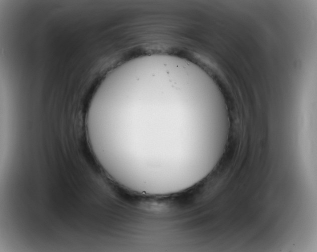 X0000083990498200703091848