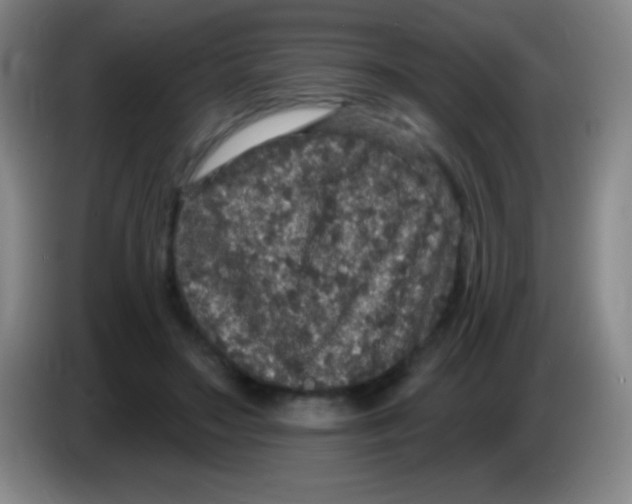 X0000083990499200703091848