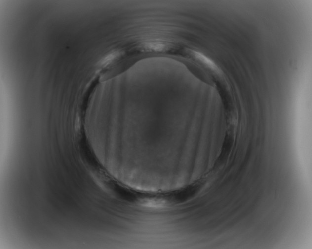 X0000083990500200703091848