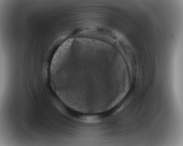 X0000083990501200703091848